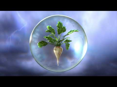 Revyvit® - U pravi čas! Novo rešenje u borbi protiv cerkospore