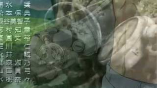 FMA AMV - What Doesn't Kill Us
