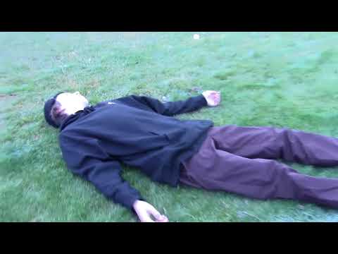 ***max/flynn music video