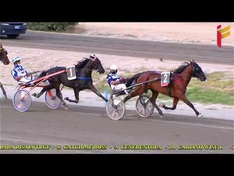 III Corsa del 11 Agosto 2021 - 3 Anni - Metri 1600