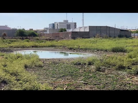 ATERRANDO O AÇUDE DOS GONCALVES EM SÃO JOÃO DO RIO DO PEIXE 🐠 PARAIBA 