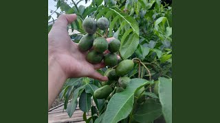 Download lagu Sepi Dalam Kerinduan mp3