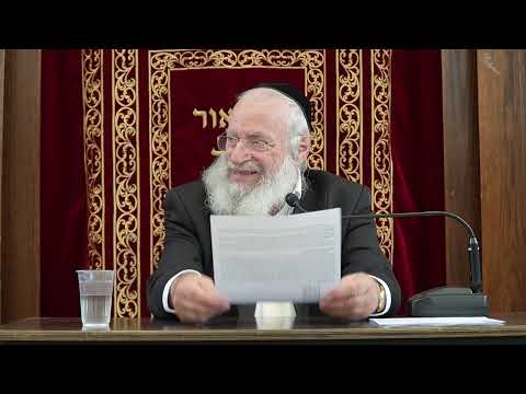 Can a Non-Jew Learn Torah? | Weekly Shiur by Rav Asher Weiss | Parshas Noach 5787