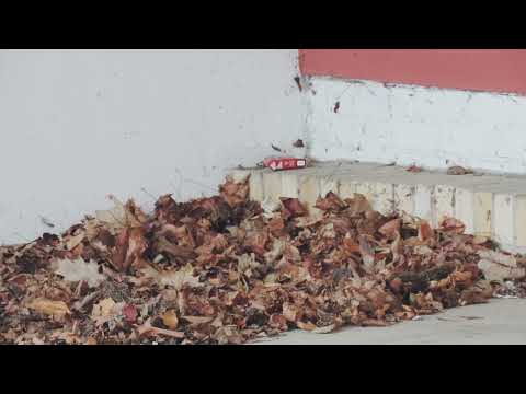 #Knappensee - eine endlose Geschichte