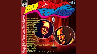 Divin&#39; Duck Blues