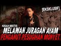 PAKE PESUGIHAN MONYET DI PASAR PEDAGANG MISKIN INI JADI JURAGAN AYAM RUQYAH VS BOS DAGING