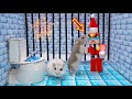 🐹Hamster Escapes Winter Christmas Ice Prison Maze 🎄❄