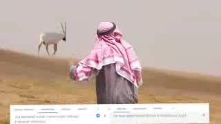 Download lagu Hey Tayo Versi Arab mp3