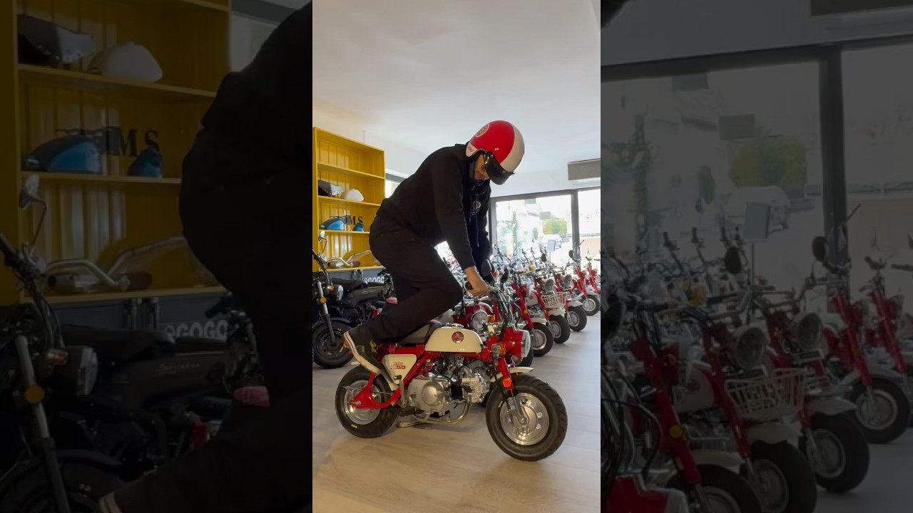 Honda Monkey MINI BIKE #bikelife #minibike