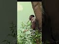 Kyo Kisi Ko Salman Khan Sad Full Screen Ultra HD WhatsApp Status Tere Naam Mrr Danish Ansari