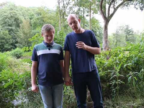 genesis pro life Amulett   Ein einfacher und effizienter Test der Wirkung auf den Körper