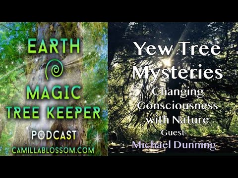 Change Your Consciousness with Nature. Solstice Edges. Yew Tree Mysteries Michael Dunning Podcast E7
