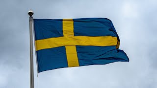 Fåglar och naturljud och Flaggan 2025/06/06 IV Nationaldagen