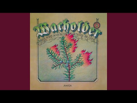 Ein Bauersmann aus Dithmarschen