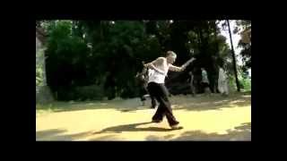 Basic Kung Fu Training