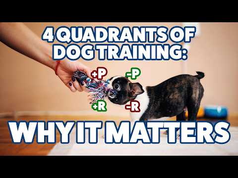 The Dog Training Quadrants We Don’t Talk About: Are We Using Them More Than We Know? #298 #podcast