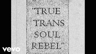 Against Me! - True Trans Soul Rebel