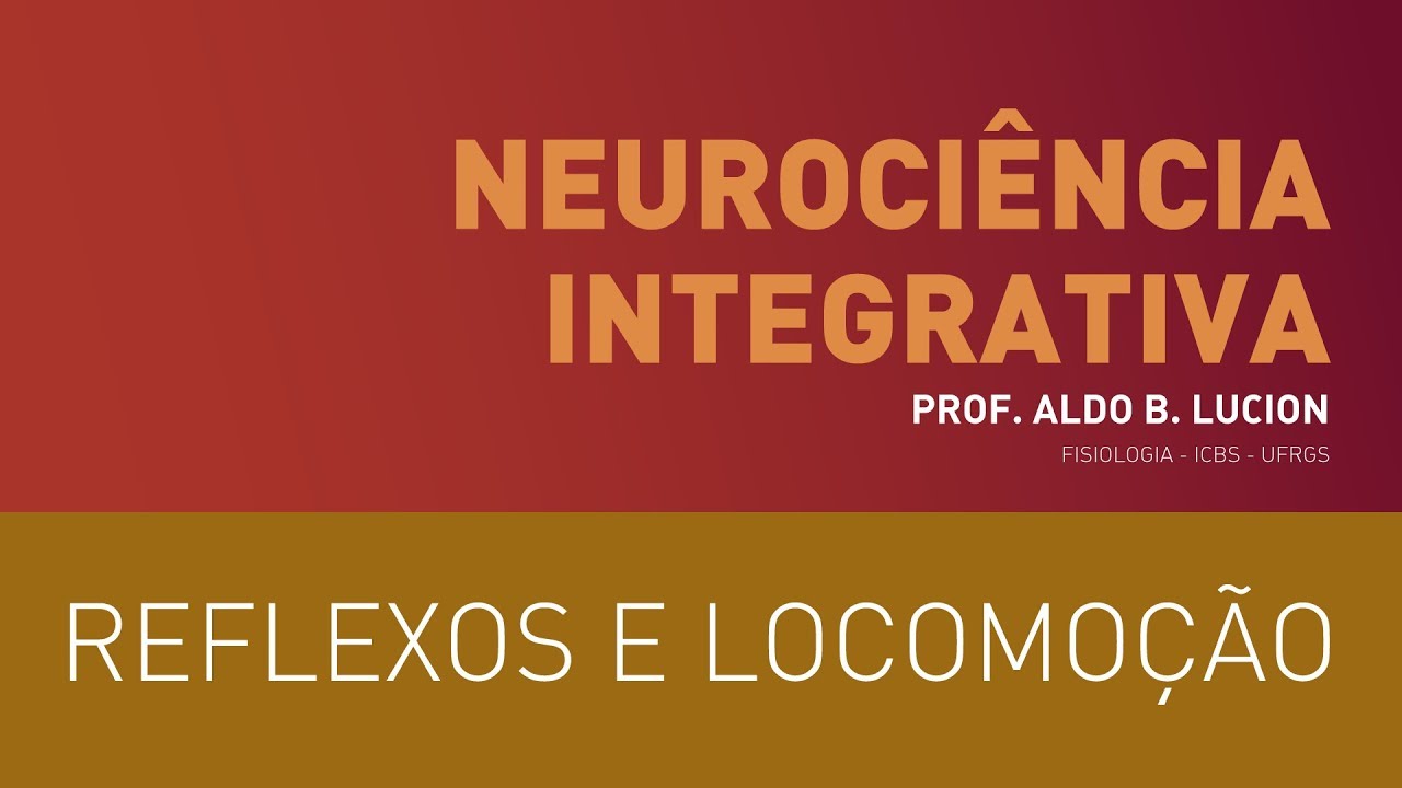 Medula Espinhal, Aula 2 | Neurociência Integrativa: Reflexos e Locomoção