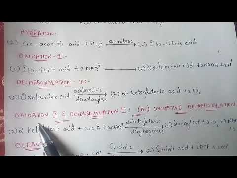 GLYCOLYSIS OR EMP PATHWAY BY PHANINDRA GUPTHA