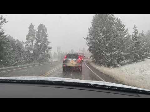 09-07-2020 Yellowstone WY Snowy Buffalo Day in the Park!