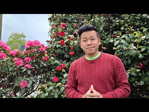 Tin nóng: IRAN hết tiền trả lương binh sĩ? - Thái Lan gặp nạn Việt Nam lên đỉnh - Ngày 22/04/2026