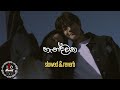 Handawaka Malith Perera Raveen Tharuka Yasas Medagedara Slowed Reverb Leo Beats