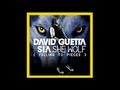 David Guetta Ft. Sia She Wolf (Falling To Pieces ...