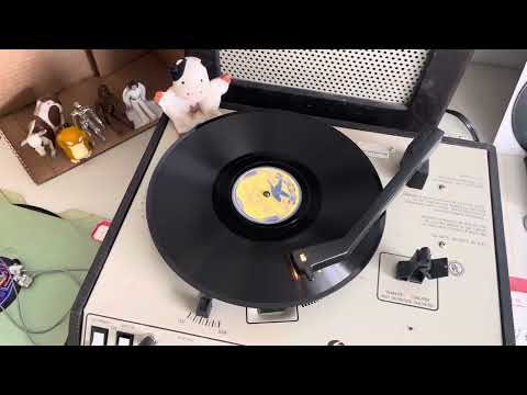 Tampa Red “If It Ain’t That Gal of Mine” Bluebird B-5981