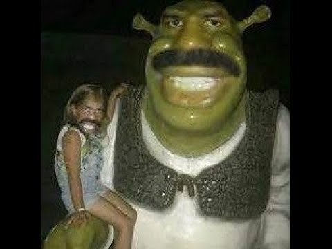 if you can't  fly run If you  can't run Walk If you can't Walk crawl