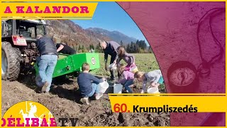 60. ÖT CSILLAGOS KIKAPCSOLÓDÁS: Krumpliszedés milliomosokkal -Délibáb Tv-