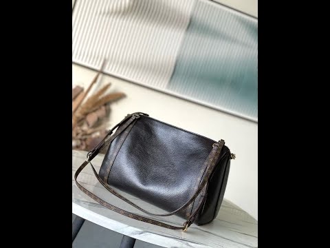 Louis Vuitton Express Medium Bag M26359