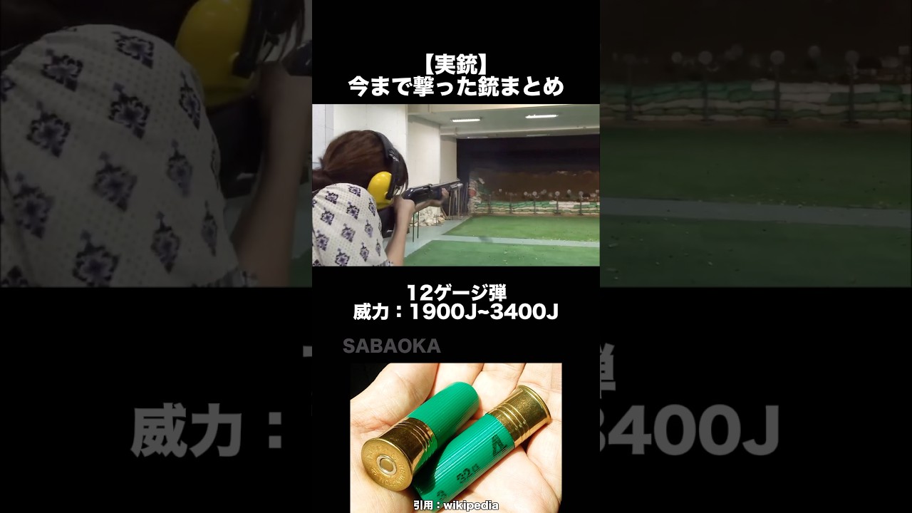 【実銃ヤバい】弾によって威力こんなに違うの!? ハンドガンとライフル弾の違い #銃 #ハンドガン #サバゲー