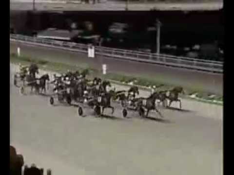 Premio Nazionale 2005 - Faliero As e Mauro Baroncini