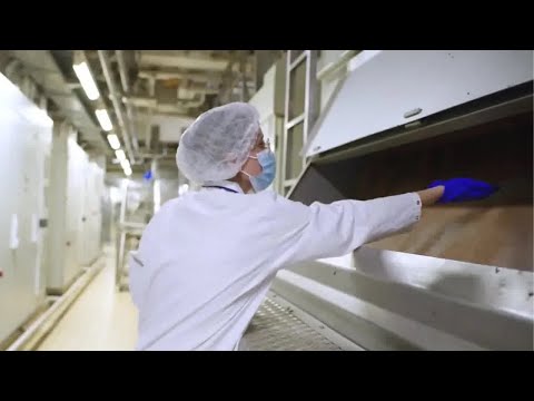 Process Health + Lindt Increasing Throughput and Quality for Chocolate Manufacturers