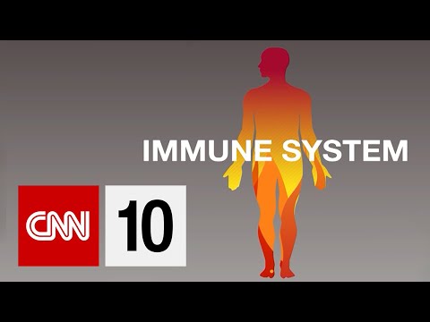 インフルエンザの予防接種を解説 (The Flu Shot Explained)