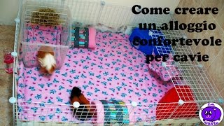 Creare recinto o gabbia confortevole per cavie (porcellini d'india)