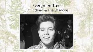 Evergreen Tree - Cliff Richard &amp; The Shadows