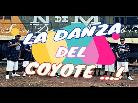 SDK El Son De La Kumbia - La Danza Del Coyote ( Lyric Video )