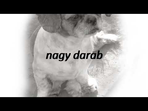 How to say chunk in Hungarian? nagy darab