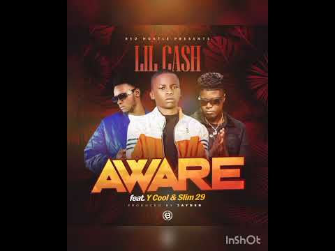 Lil_Cash ft Y_Cool & SLIM_29 Aware (Official Audio)