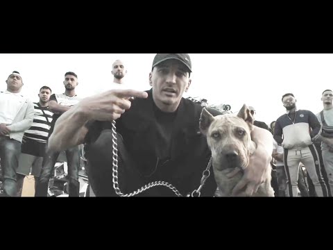 Asche feat. Samra - Kampfhund