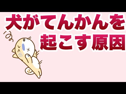 犬のてんかん - 原因、栄養、予防方法