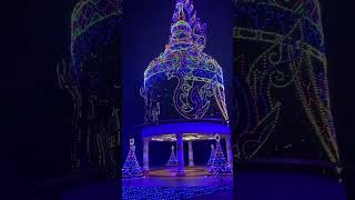 WOW! Carnival magic phuket Thailand  #carnivalmagic #carnivalmagicphuket #फुकेट #यात्रा #fyp