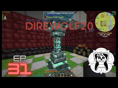 DireWolf20 1.18 Ep31 - Blood Magic Dungeons