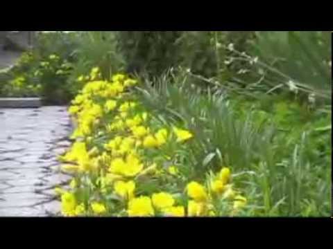 Красивая территория управления пенсионного фонда г.Зеленокумска