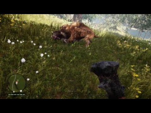 Far Cry® Primal Sabertooth tiger Vs Bloodfang tiger Pvp