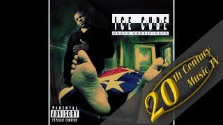 Ice Cube - Robin Lench