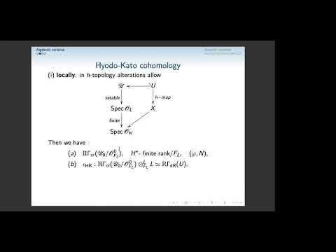 Wiesława Nizioł - P-adic comparison theorems for analytic spaces
