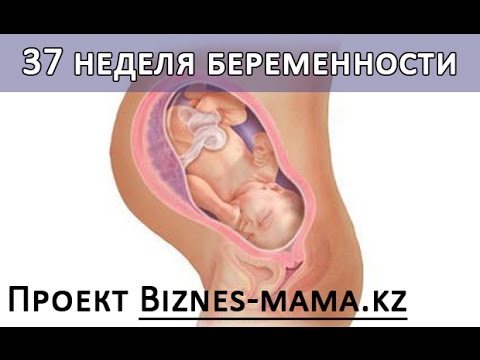 Воспаление коленного сустава чем лечить домашних условиях Миорелаксанты боли в шее