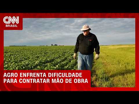 Escassez de mão de obra no agro é principal desafio para produtores, aponta CNA | CNN PRIME TIME